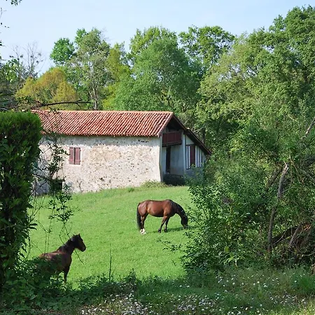 Camping Bixta Eder Cambo-les-Bains